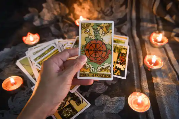 tarot cards Melwood